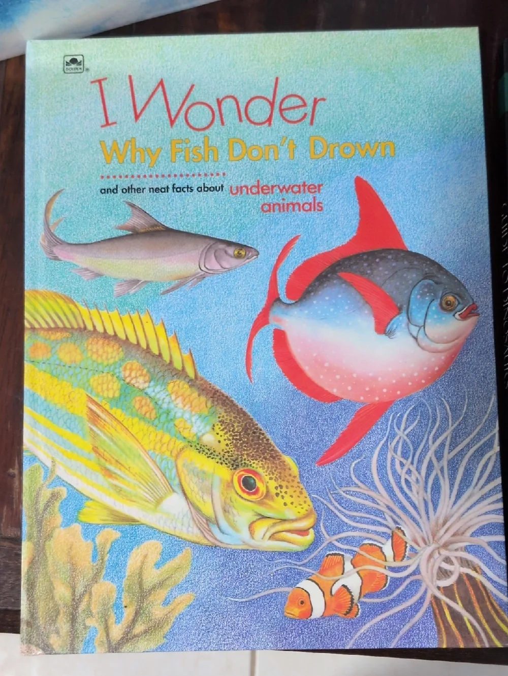 Misc. Authors & Titles Children's Literature Lot of 4 Nonfiction Hardback Books
